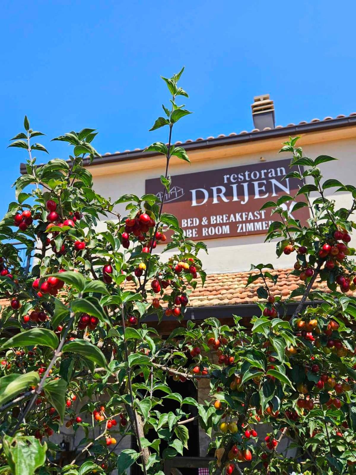Drijen * Ravno